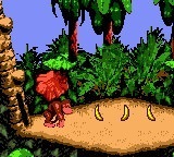 Donkey Kong Country