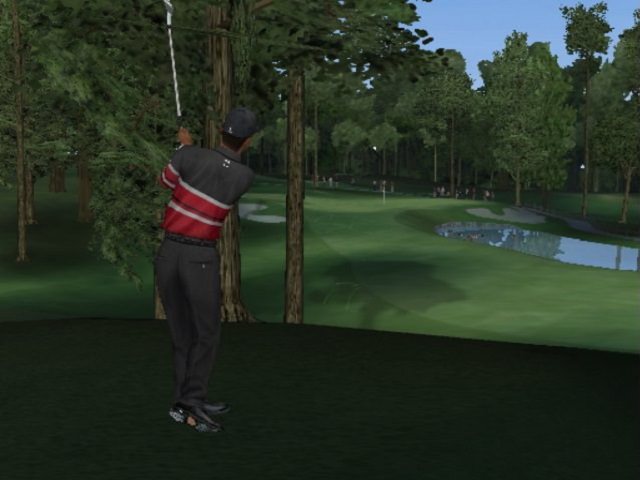 Tiger Woods PGA Tour 2004