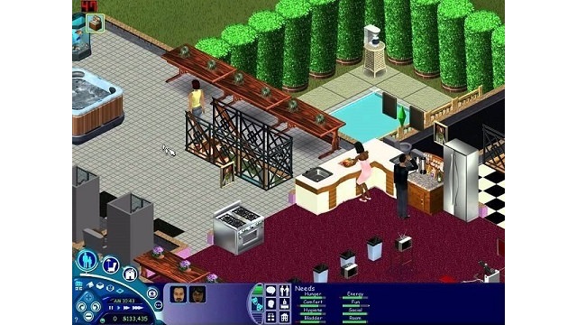 The Sims